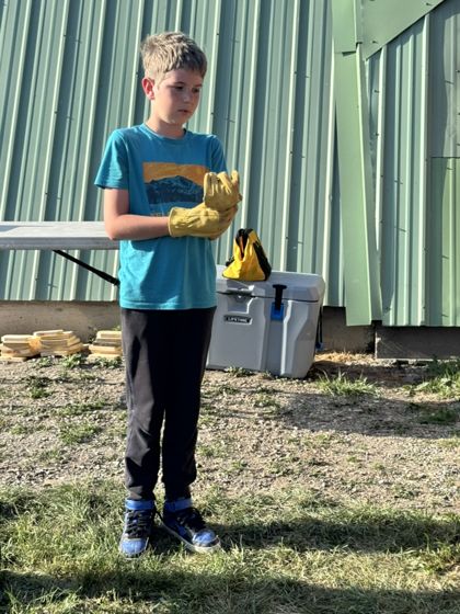 Mountain Bluebird Festival 2025