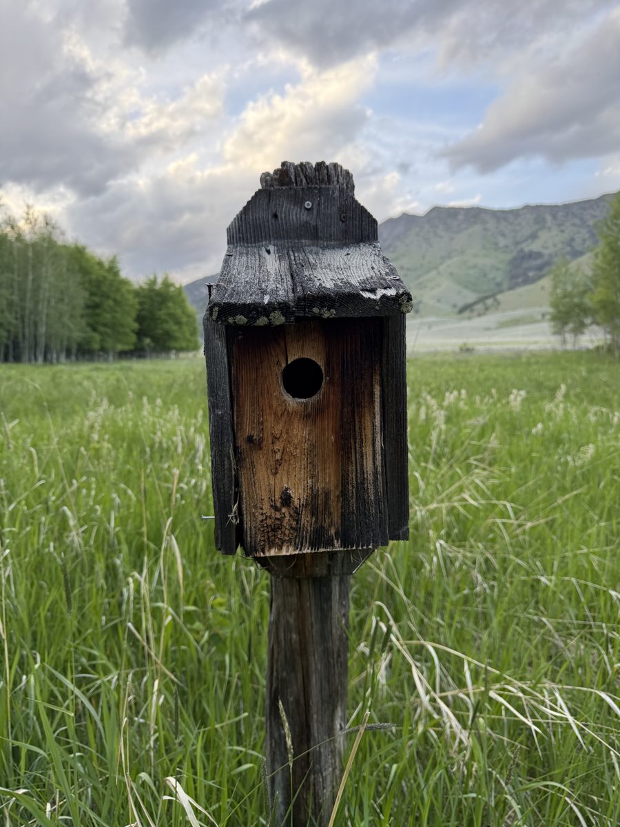 Box 73