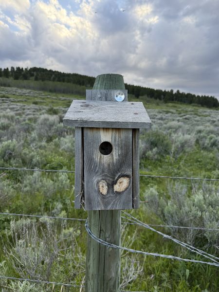 Box 87