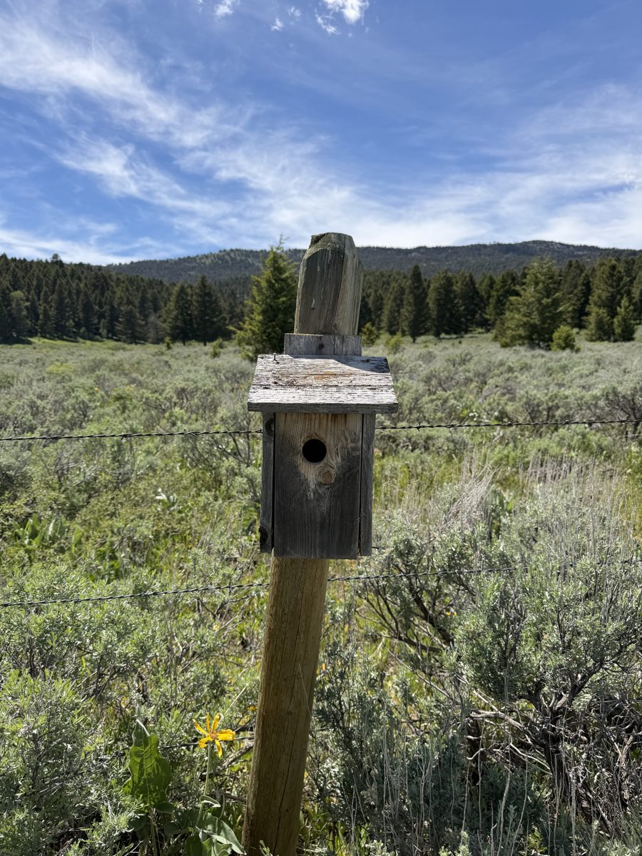 Box 20