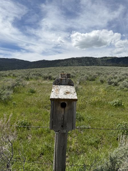 Box 12